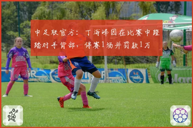 中足联官方：丁海峰因在比赛中蹬踏对手背部，停赛1场并罚款1万